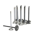 Skunk2 Honda K20C1 Alpha Series Intake & Exhaust Valve Set (Standard Compression)