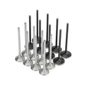 Skunk2 Honda K20C1 Alpha Series Intake & Exhaust Valve Set (Standard Compression)