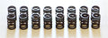 HKS Valve Springs 22001-AN002