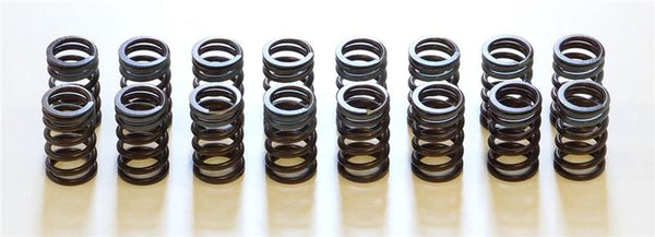 HKS Valve Springs 22001-AN002