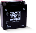 Yuasa YTX16-BS Maintenance Free AGM 12-Volt Battery w/Bottle