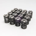 Skunk2 Alpha Series Honda D Series VTEC Valve Spring Set