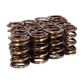 Skunk2 Pro Series Honda/Acura B-Series VTEC XP Valve Spring Set (Dual Springs)
