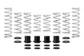Eibach Pro-UTV 17-18 Polaris XP1000 Turbo 2-Seat Stage 3 Performance Springs