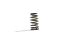 Ford Racing BOSS 302R Valve Spring Kit