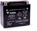 Yuasa YTX20L-BS Maintenance Free AGM 12-Volt Battery w/Bottle