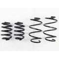 RS-R 09+ Nissan GT-R TI2000 Down Sus Springs