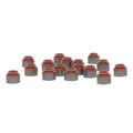 Skunk2 Honda/Acura (B/D/F/K Series) Viton Valve Stem Seal Kit