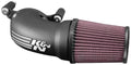 K&N 01-17 Harley-Davidson Softail / Dyna FI Performance Air Intake System