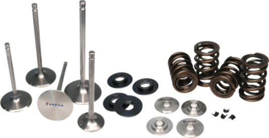 Ferrea 18-19 Ford Coyote 5.0L Beehive Valve Spring Kit