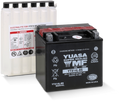 Yuasa YTX14L-BS Maintenance Free AGM 12-Volt Battery w/Bottle
