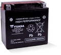 Yuasa YTX14H-BS High Performance AGM 12-Volt Battery w/Bottle