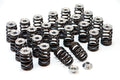 GSC P-D Toyota 2JZ Beehive Valve Springs & Ti Retainer Kit (Check Fitment of Spring Base)
