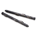 Skunk2 Pro Series Honda H22A/F20B DOHC VTEC Stage 1+ Cam Shafts